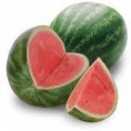 Sandia kg